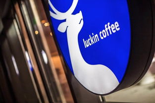 蔚來(lái)汽車任命新CFO與摩拜單車調(diào)價(jià) 兩家出行巨頭的戰(zhàn)略調(diào)整